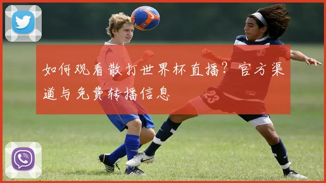 如何观看散打世界杯直播？官方渠道与免费转播信息