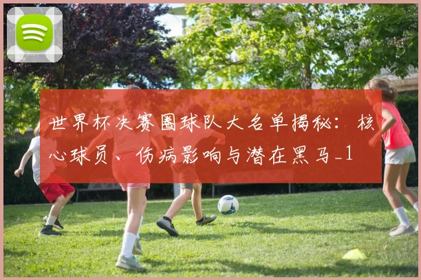 世界杯决赛圈球队大名单揭秘：核心球员、伤病影响与潜在黑马_1